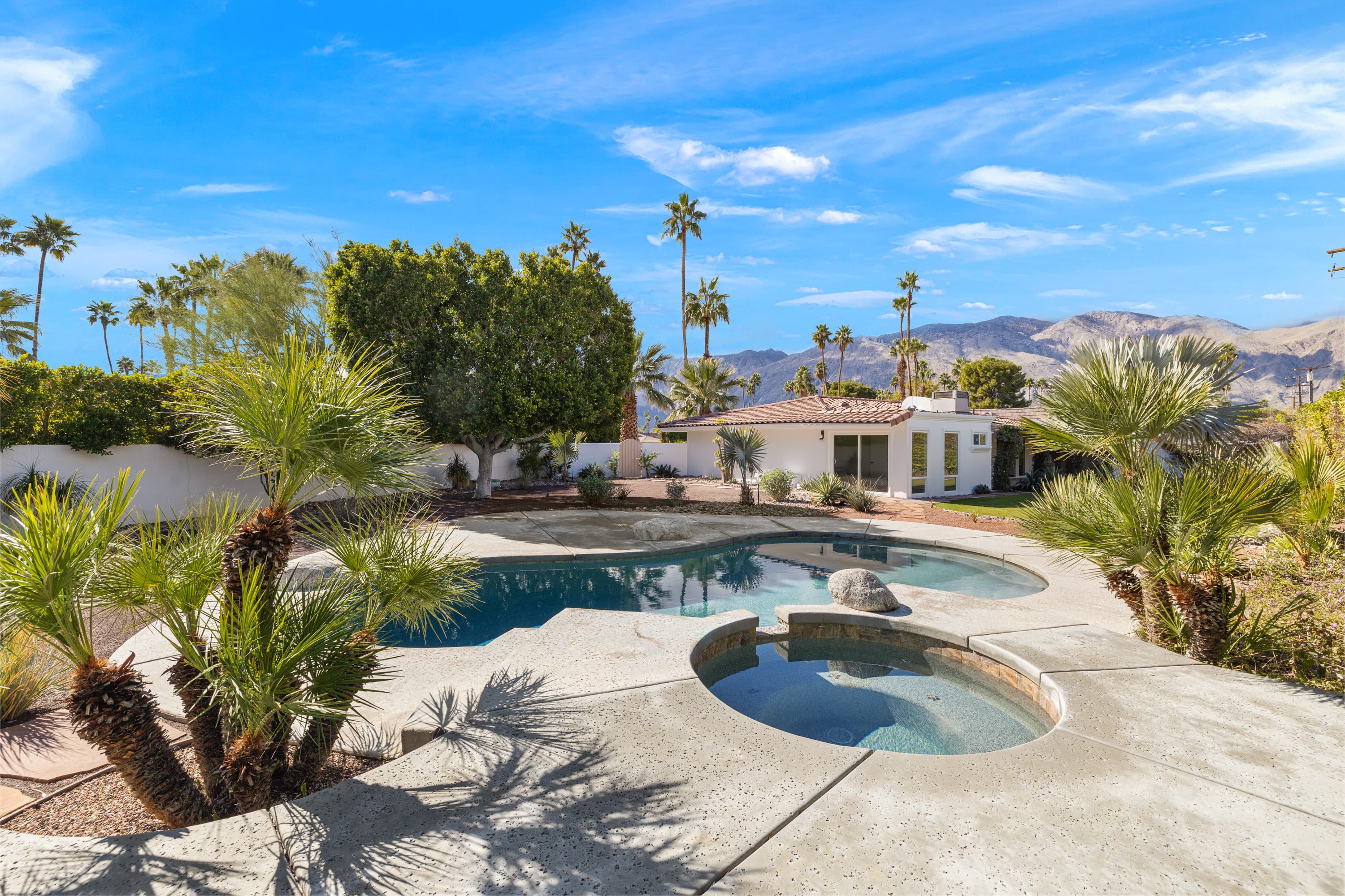 Pool and hot tub with palm trees and San Jacinto mountain views