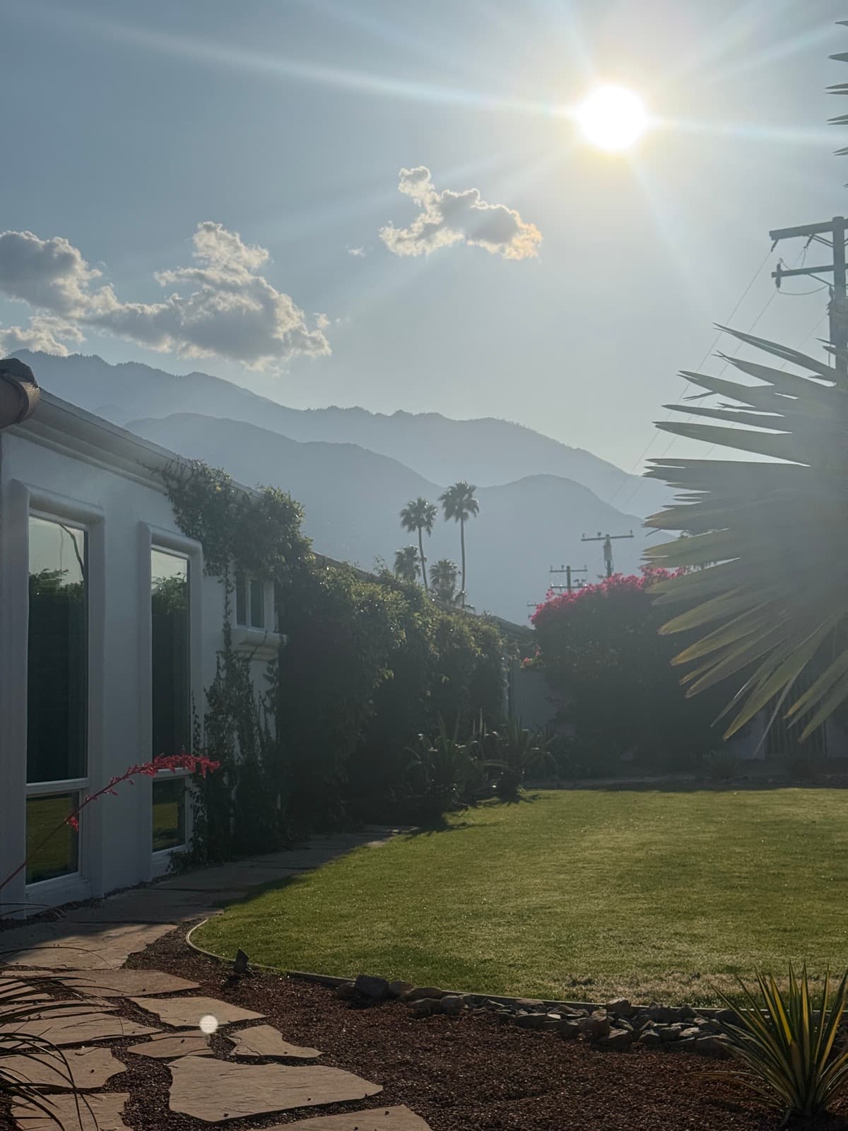Sun flare over the back lawn