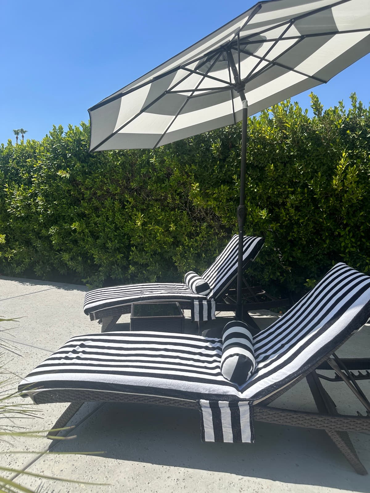 Loungers ready for the afternoon