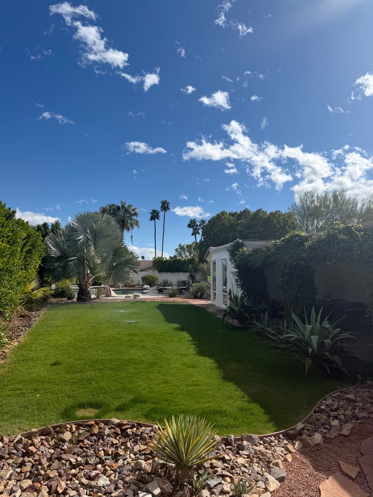 Big desert sky over the garden